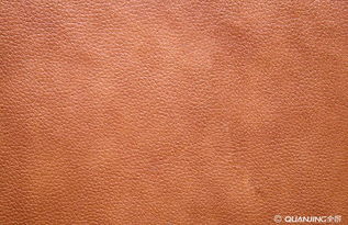 皮革 穿越千年的艺术与实用材料